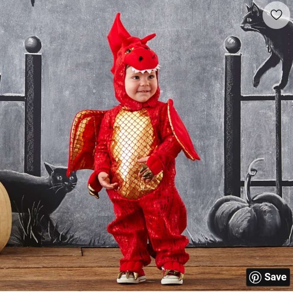 Pottery Barn Baby Dragon Costume